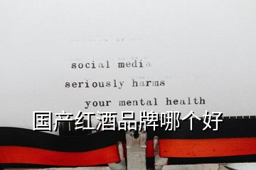 國產(chǎn)紅酒品牌哪個好