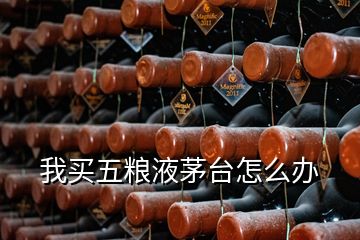 我買(mǎi)五糧液茅臺(tái)怎么辦