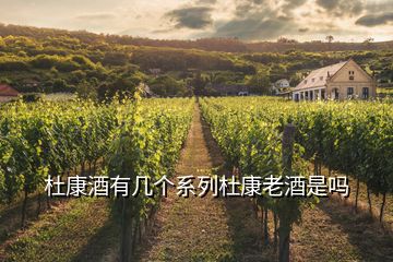杜康酒有幾個(gè)系列杜康老酒是嗎