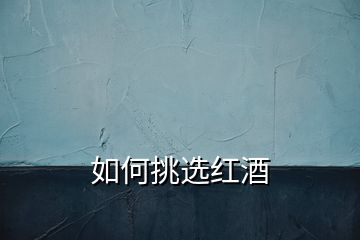 如何挑選紅酒