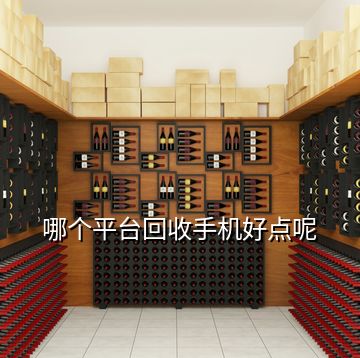 哪個(gè)平臺(tái)回收手機(jī)好點(diǎn)呢