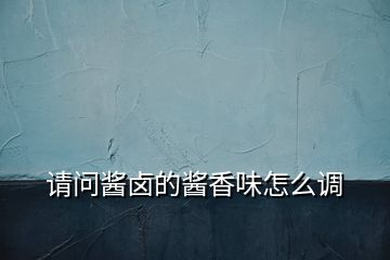 請問醬鹵的醬香味怎么調