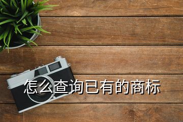 怎么查詢(xún)已有的商標(biāo)
