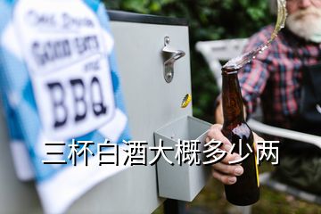 三杯白酒大概多少兩
