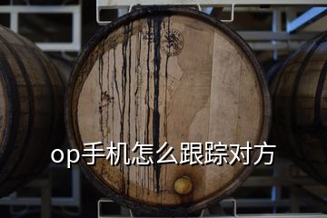 op手機(jī)怎么跟蹤對(duì)方