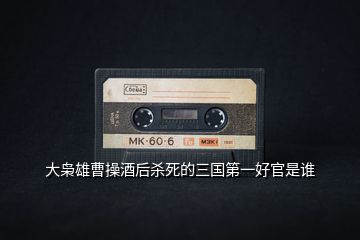 大梟雄曹操酒后殺死的三國第一好官是誰