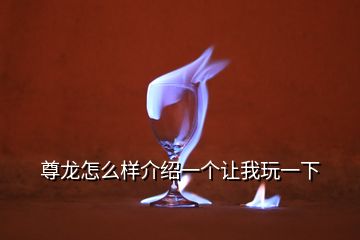 尊龍?jiān)趺礃咏榻B一個讓我玩一下