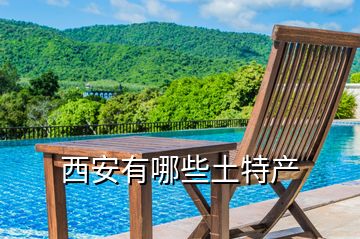 西安有哪些土特產(chǎn)