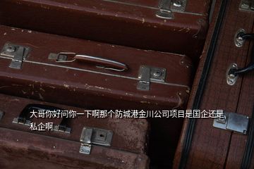大哥你好問(wèn)你一下啊那個(gè)防城港金川公司項(xiàng)目是國(guó)企還是私企啊