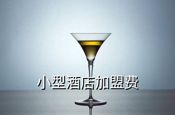 小型酒店加盟費(fèi)