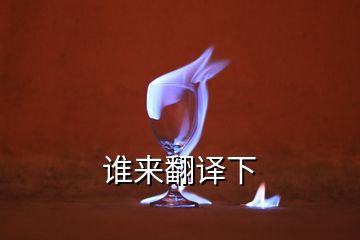 誰(shuí)來翻譯下