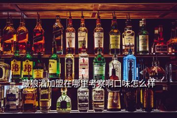 藏狼酒加盟在哪里考察啊口味怎么樣