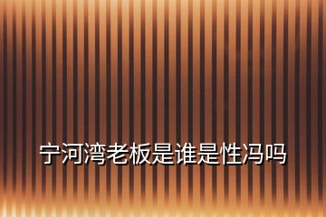 寧河灣老板是誰(shuí)是性馮嗎