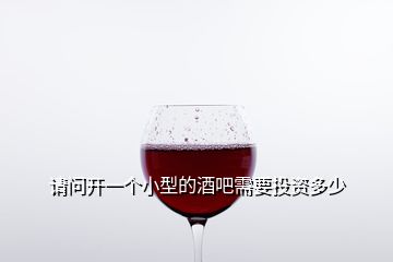 請問開一個(gè)小型的酒吧需要投資多少