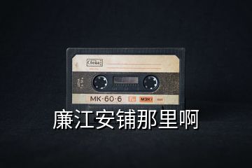 廉江安鋪那里啊