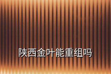 陜西金葉能重組嗎