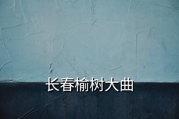 長春榆樹大曲