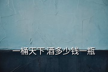 一桶天下 酒多少錢(qián)一瓶