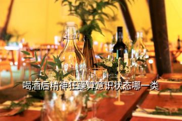 喝酒后精神狂躁算意識(shí)狀態(tài)哪一類