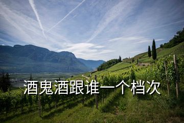 酒鬼酒跟誰一個檔次