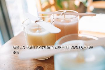 納稅人享受減稅減稅待遇的在減稅免稅期間可以辦理納稅申報