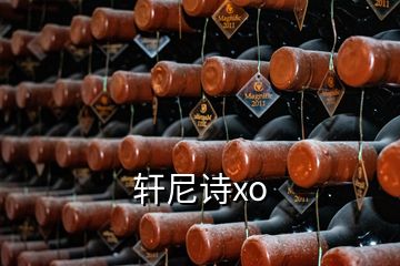 軒尼詩xo
