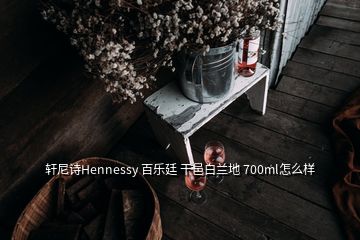 軒尼詩(shī)Hennessy 百樂(lè)廷 干邑白蘭地 700ml怎么樣
