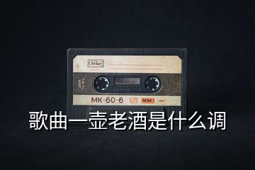 歌曲一壺老酒是什么調