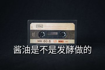 醬油是不是發(fā)酵做的