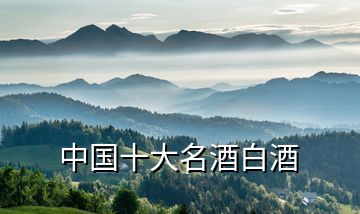 中國(guó)十大名酒白酒