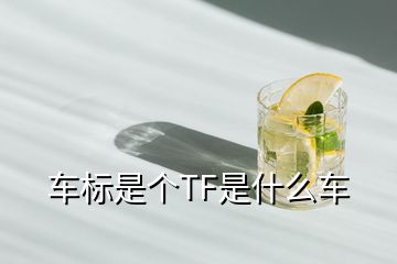 車(chē)標(biāo)是個(gè)TF是什么車(chē)