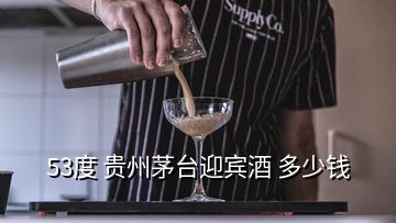 53度 貴州茅臺迎賓酒 多少錢