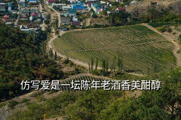仿寫(xiě)愛(ài)是一壇陳年老酒香美酣醇