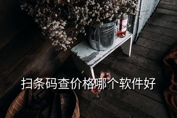 掃條碼查價(jià)格哪個軟件好