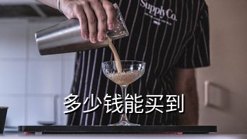 多少錢(qián)能買(mǎi)到
