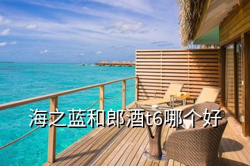 海之藍(lán)和郎酒t6哪個(gè)好