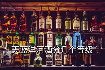 天藍(lán)洋河酒分幾個(gè)等級(jí)