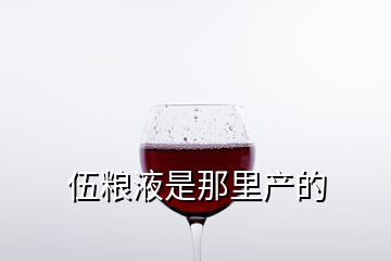 伍糧液是那里產的