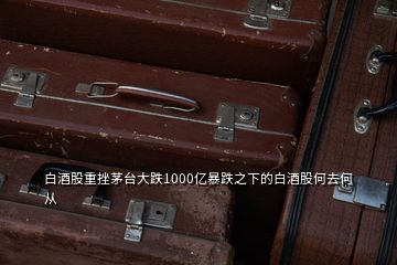 白酒股重挫茅臺大跌1000億暴跌之下的白酒股何去何從