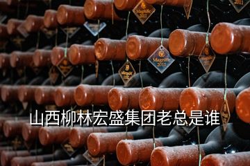 山西柳林宏盛集團(tuán)老總是誰