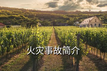 火災(zāi)事故簡(jiǎn)介