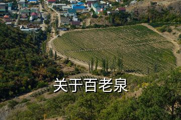 關于百老泉