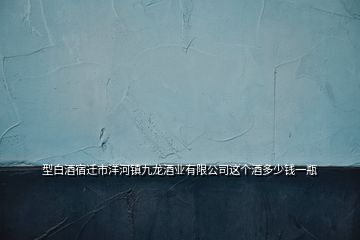 型白酒宿遷市洋河鎮(zhèn)九龍酒業(yè)有限公司這個(gè)酒多少錢一瓶