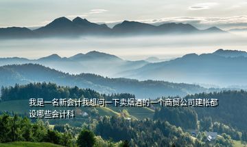 我是一名新會(huì)計(jì)我想問(wèn)一下賣煙酒的一個(gè)商貿(mào)公司建帳都設(shè)哪些會(huì)計(jì)科