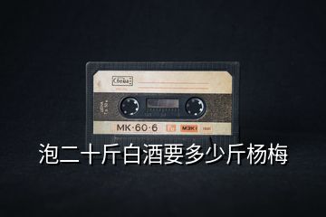 泡二十斤白酒要多少斤楊梅