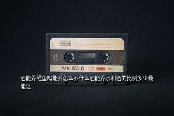 酒能養(yǎng)鯉魚(yú)嗎能養(yǎng)怎么養(yǎng)什么酒能養(yǎng)水和酒的比例多少最能讓
