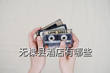無(wú)棣縣酒店有哪些