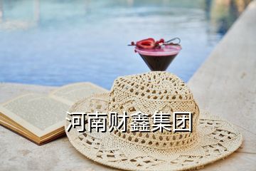 河南財鑫集團