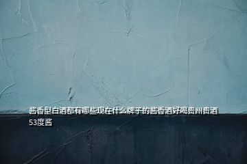 醬香型白酒都有哪些現在什么牌子的醬香酒好喝貴州貴酒 53度醬