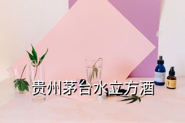貴州茅臺(tái)水立方酒
